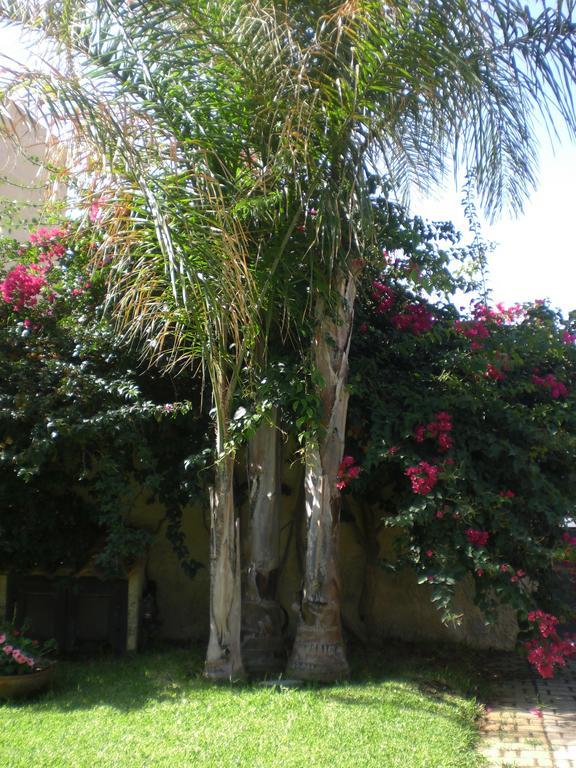 Villa Solare Lido di Noto 部屋 写真